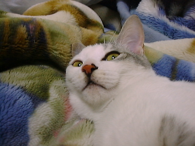 DSC00042_4