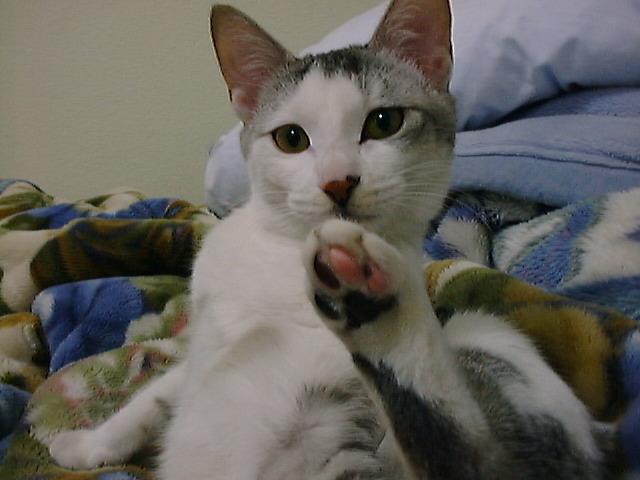 DSC00044_2