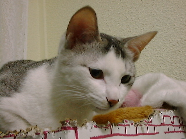 DSC00045_2
