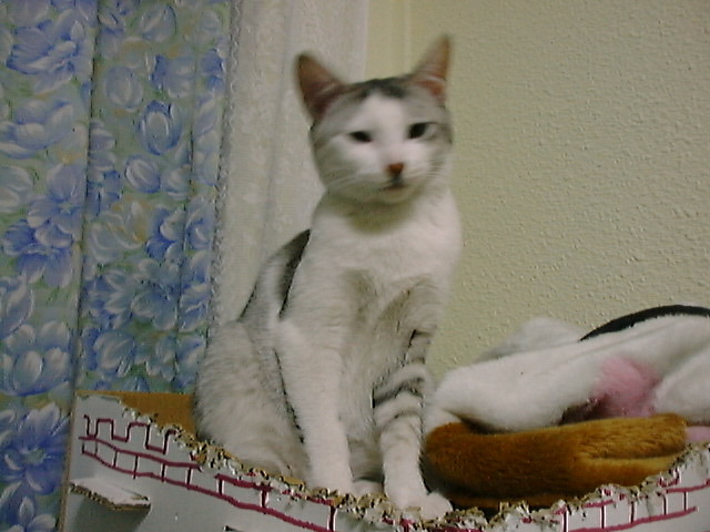 DSC00047_2