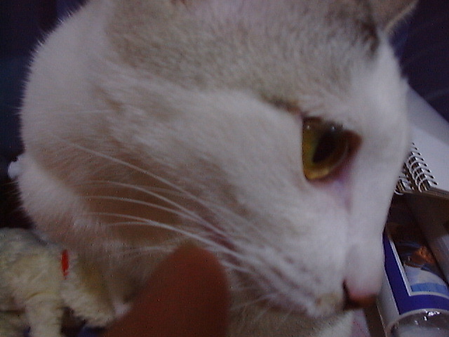 DSC00056_2