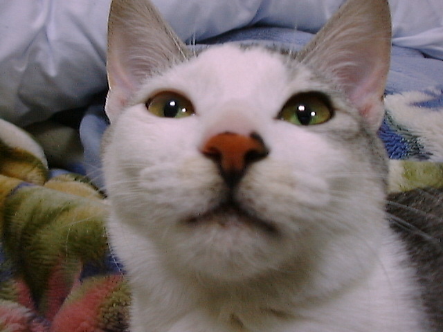 DSC00025_2