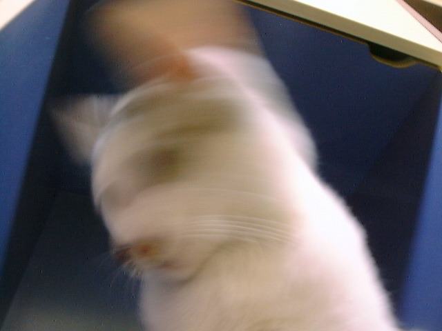 DSC00057_2