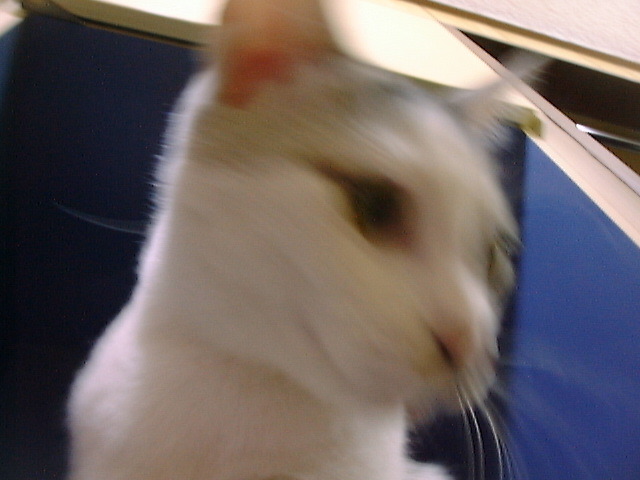 DSC00058_2