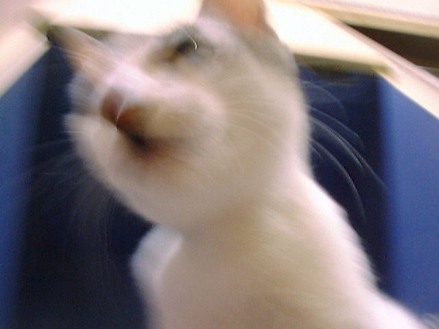 DSC00060_2