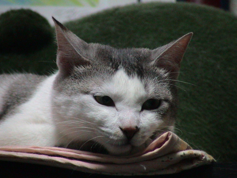 DSC00008_1