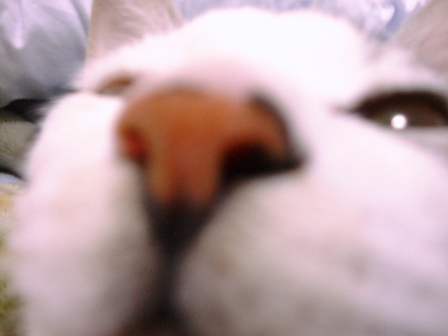DSC00026_2