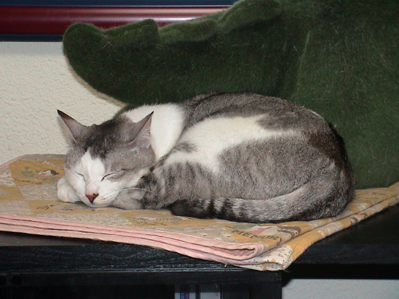 DSC00011_1