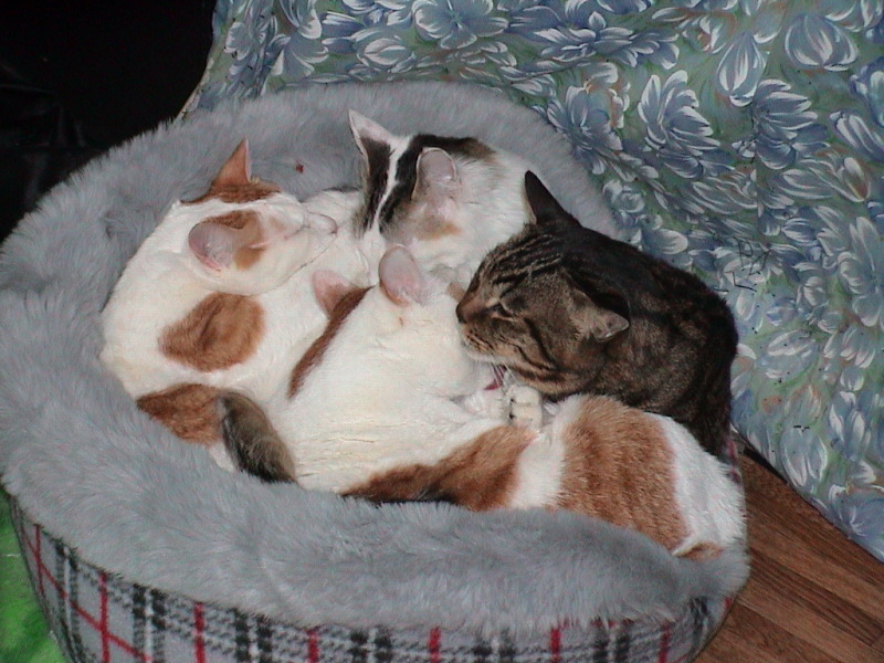 DSC00012_1