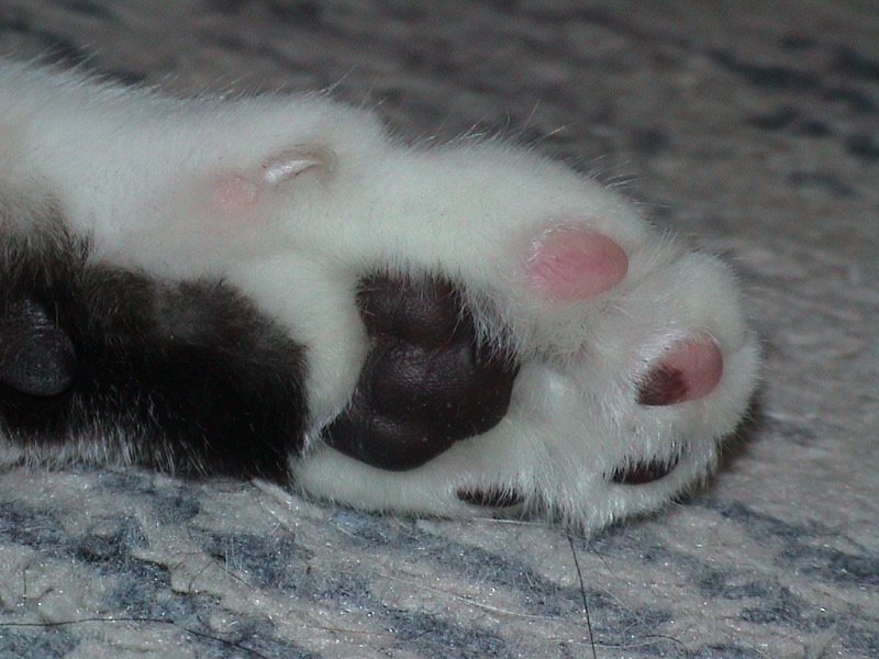 DSC00015_1