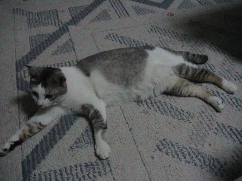 DSC00016_1