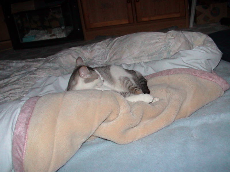 DSC00018_1