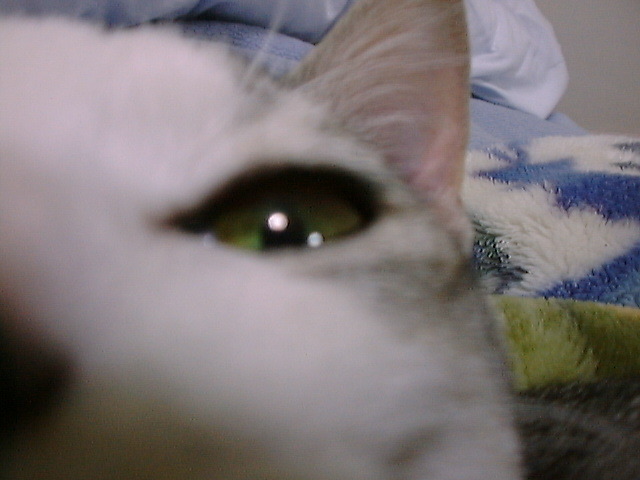 DSC00027_2