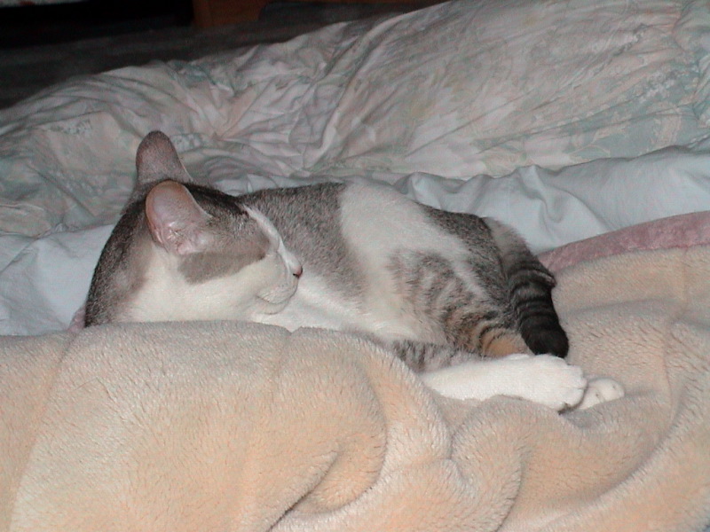 DSC00019_1