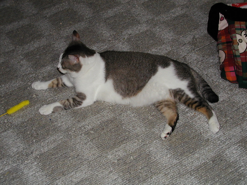 PB230495_1
