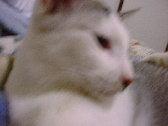 DSC00031_2