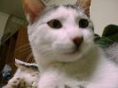 DSC00001_2