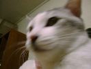 DSC00002_2