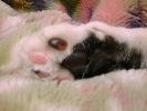 DSC00032_2