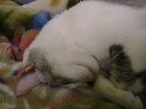 DSC00033_2