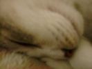 DSC00034_2
