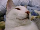 DSC00035_2