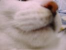 DSC00036_2