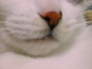DSC00037_2
