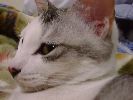 DSC00039_2