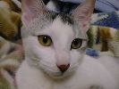 DSC00041_2