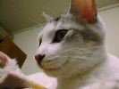 DSC00003_2
