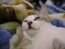 DSC00042_4