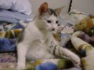 DSC00043_4