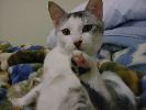 DSC00044_2