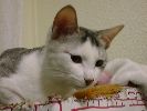 DSC00045_2
