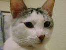DSC00046_2