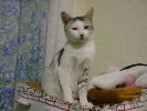 DSC00047_2