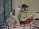 DSC00048_2