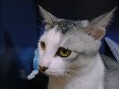 DSC00055_2