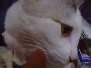 DSC00056_2