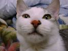 DSC00025_2
