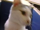 DSC00058_2