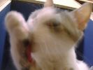 DSC00059_2