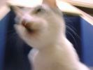 DSC00060_2
