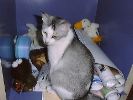 DSC00061_2