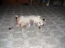 DSC00004_1