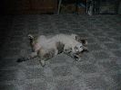 DSC00005_1