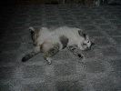 DSC00006_1