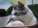 DSC00007_1