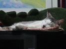 DSC00010_1